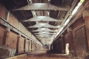 沙區工業遺址之旅 在銹蝕與新生中尋找城市記憶